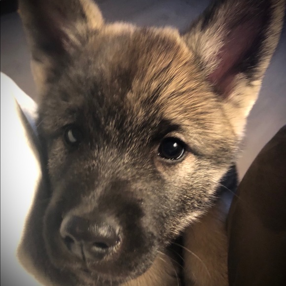 Meet your Posher, Janet - Picture 7 of 10